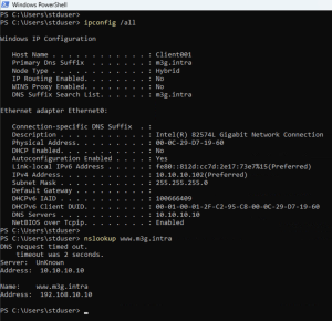 Client01 üzerinden dns sorgu sonucu