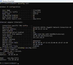 Client02 üzerinden dns sorgu sonucu